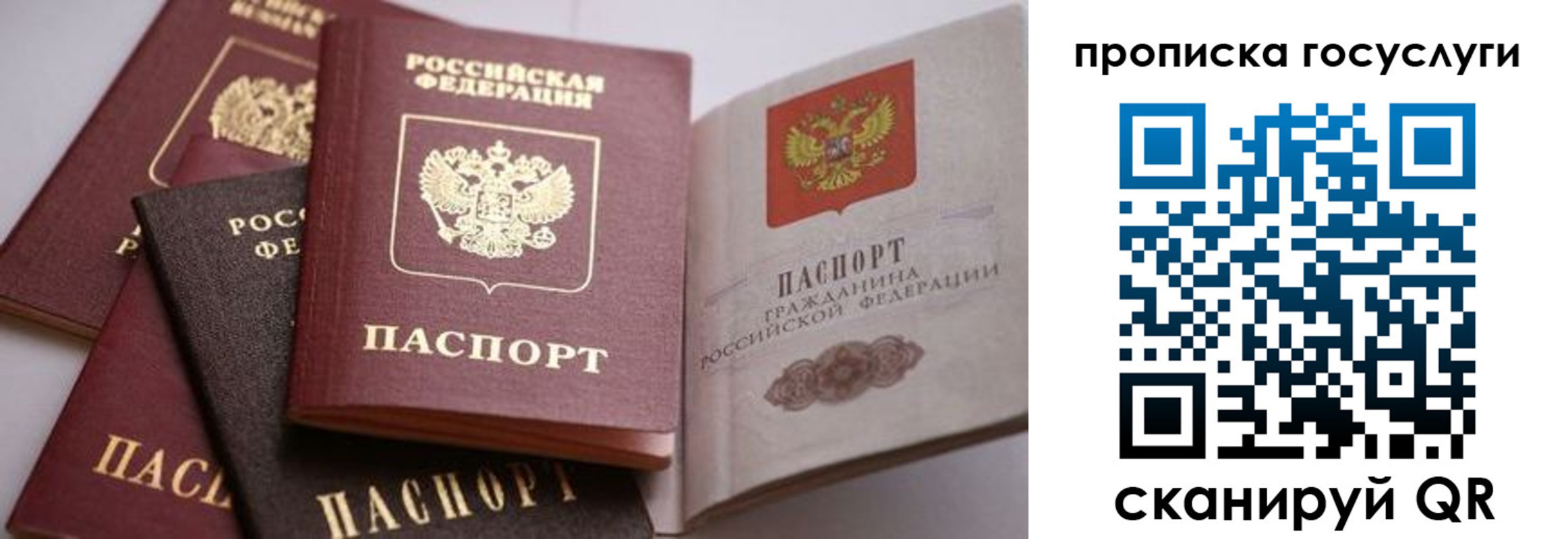 прописка иностранных граждан в Ленинградской области