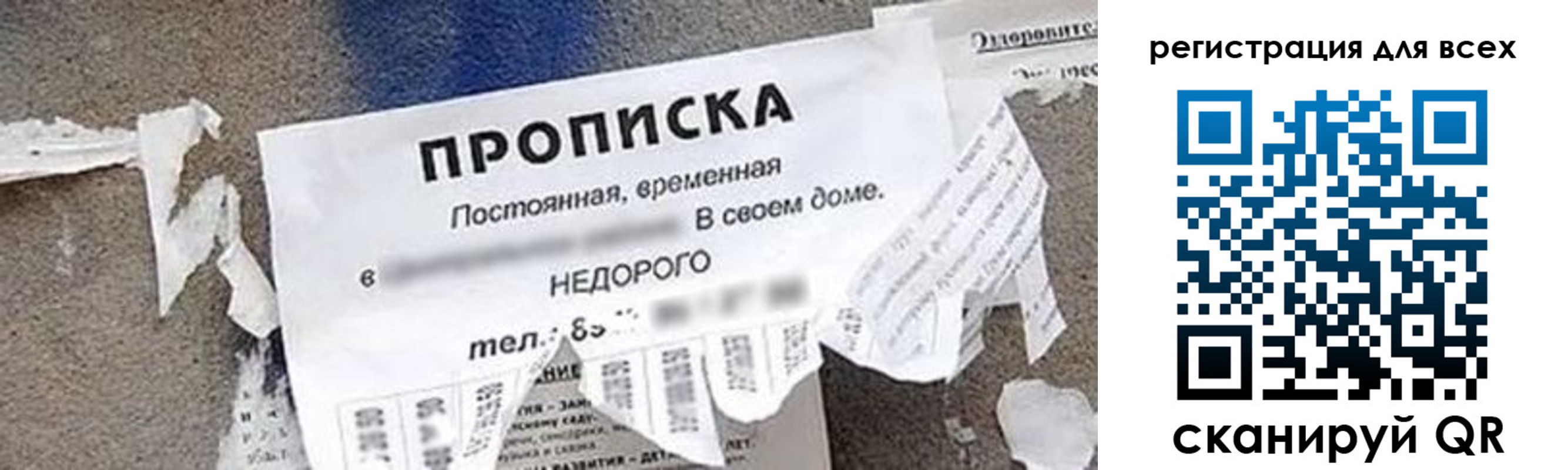 прописка поиск в Ленинградской области